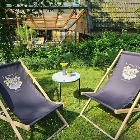 Boshuisje Nr6