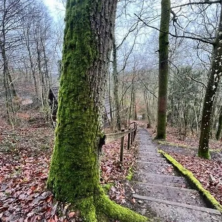 Alpehytte Boshuisje Nr6