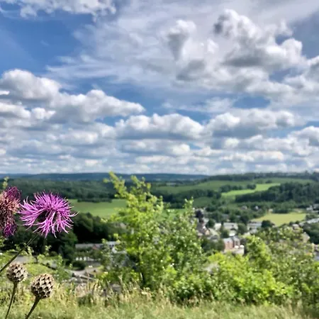 Boshuisje Nr6 *
