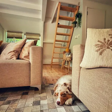 Boshuisje Nr6 Dağ evi *