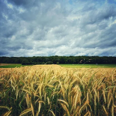 Boshuisje Nr6 シャレー デュルビュイ