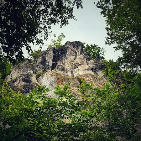 Boshuisje Nr6 Dağ evi