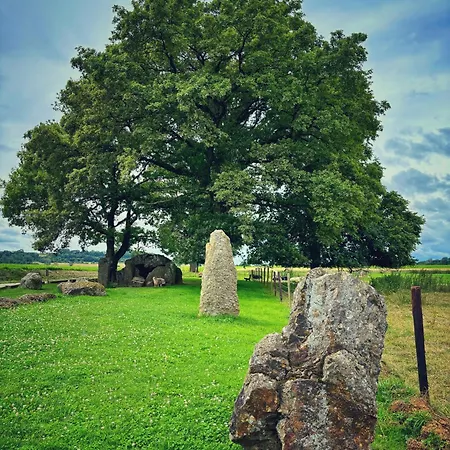 Boshuisje Nr6 シャレー *